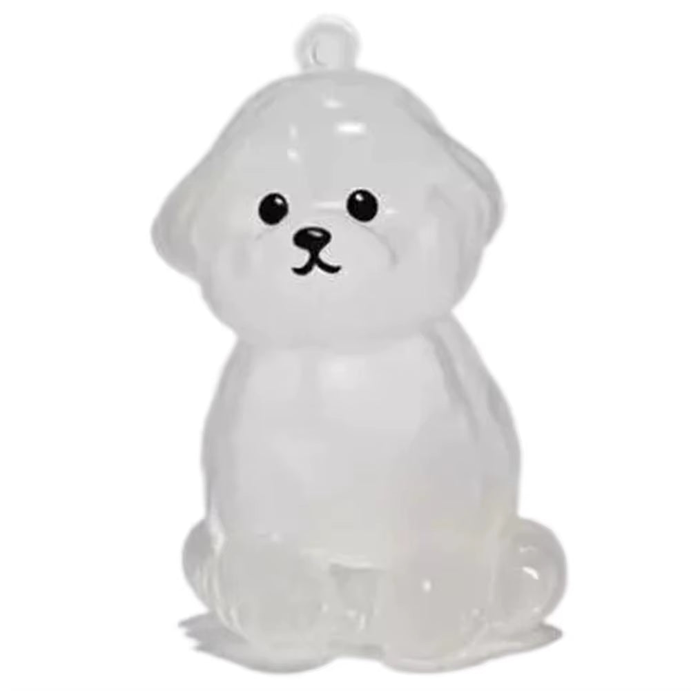Clear Pet Hair Keychain Cute Dog Fur Keepsake Holder Creative Transparent Pet Hair Memorial Collection Pendant for Dog/Cat